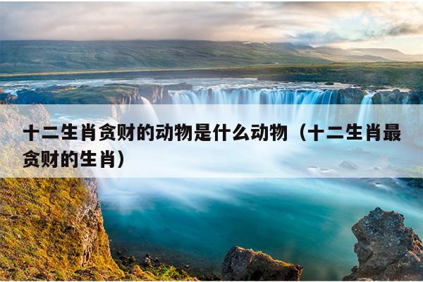十二生肖贪财的动物是什么动物（十二生肖最贪财的生肖）