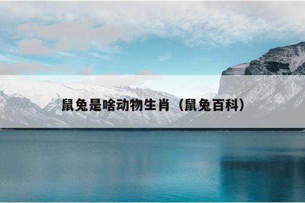 鼠兔是啥动物生肖（鼠兔百科）