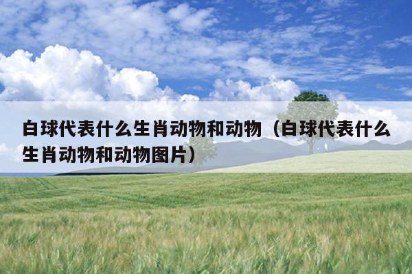 白球代表什么生肖动物和动物（白球代表什么生肖动物和动物图片）