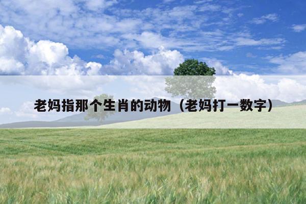 老妈指那个生肖的动物（老妈打一数字）