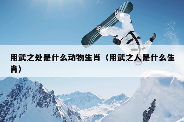 用武之处是什么动物生肖（用武之人是什么生肖）