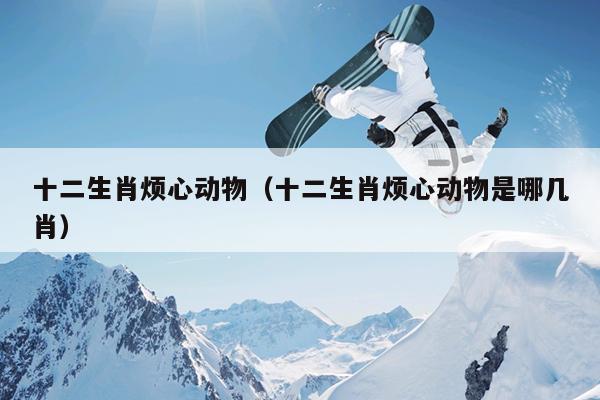 十二生肖烦心动物（十二生肖烦心动物是哪几肖）