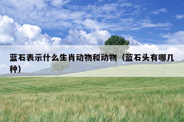 蓝石表示什么生肖动物和动物（蓝石头有哪几种）