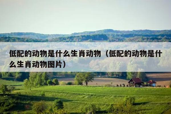 低配的动物是什么生肖动物（低配的动物是什么生肖动物图片）