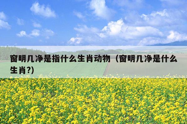 窗明几净是指什么生肖动物（窗明几净是什么生肖?）
